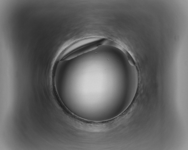 X0000111630008200907241100