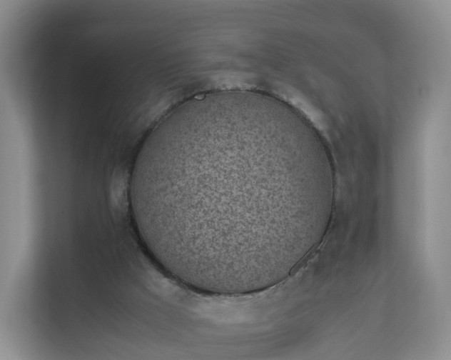 X0000111630009200907241100