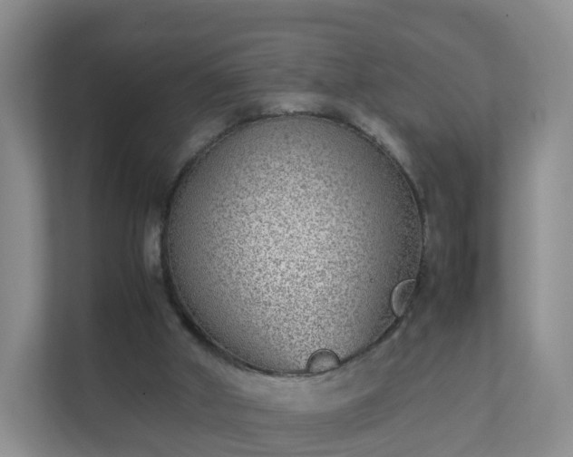 X0000111630010200907241100