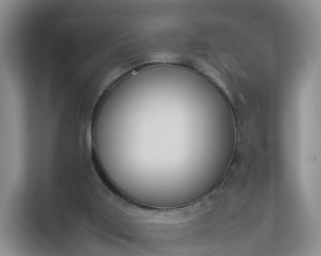 X0000111630011200907241059