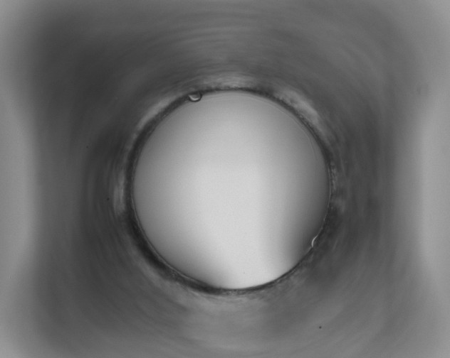 X0000111630012200907241059