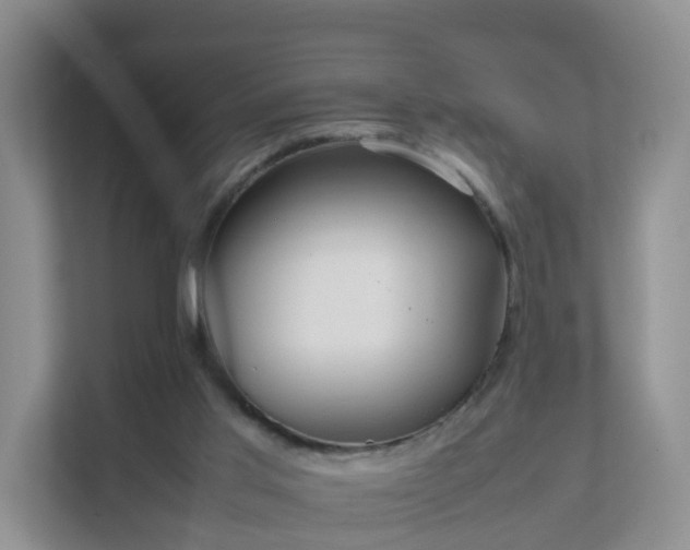 X0000111630013200907241059