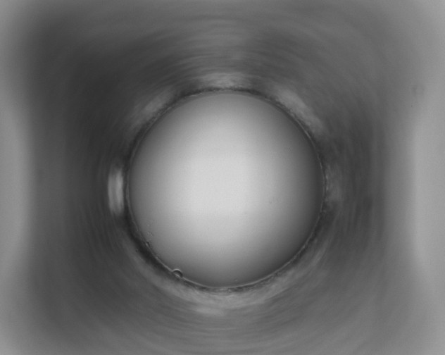 X0000111630014200907241059