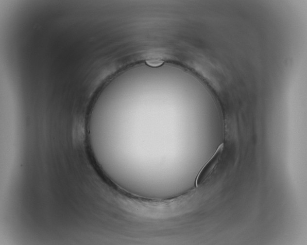 X0000111630015200907241059