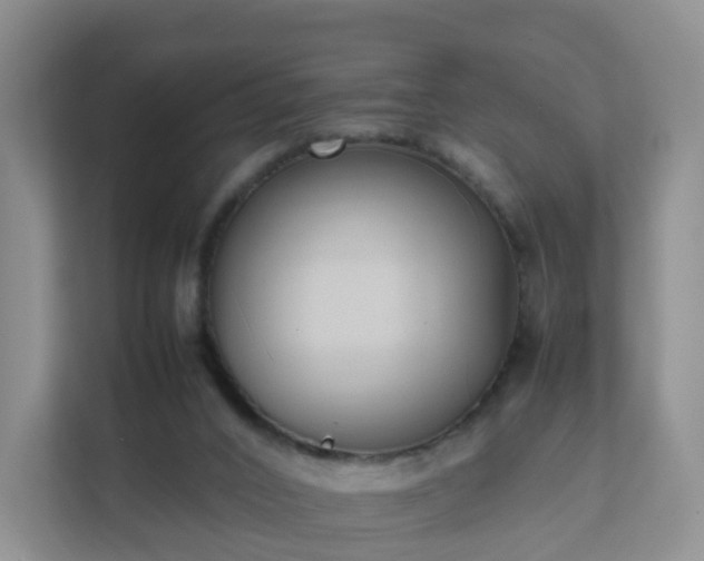 X0000111630016200907241059