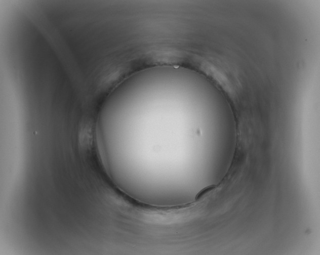 X0000111630017200907241059