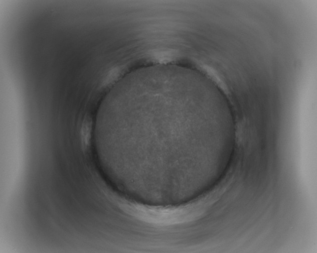 X0000111630018200907241059