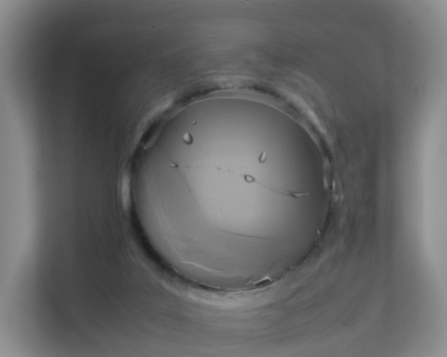 X0000111630019200907241059