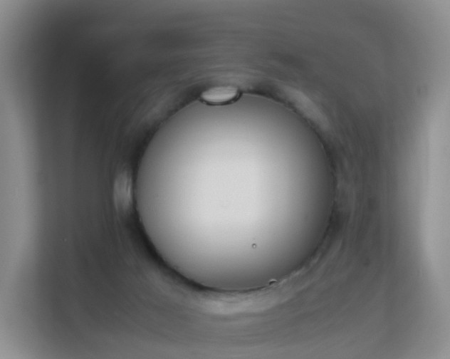 X0000111630021200907241059