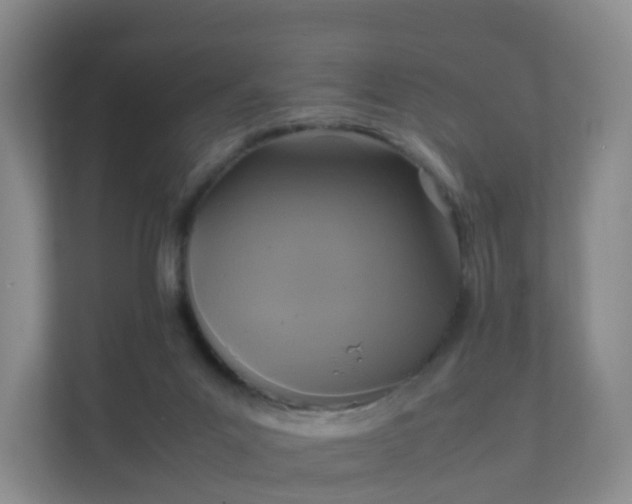 X0000111630023200907241059