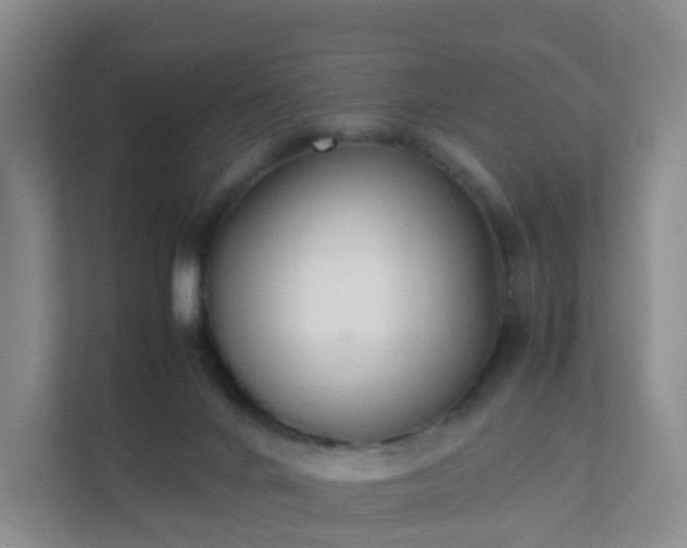 X0000111630024200907241059