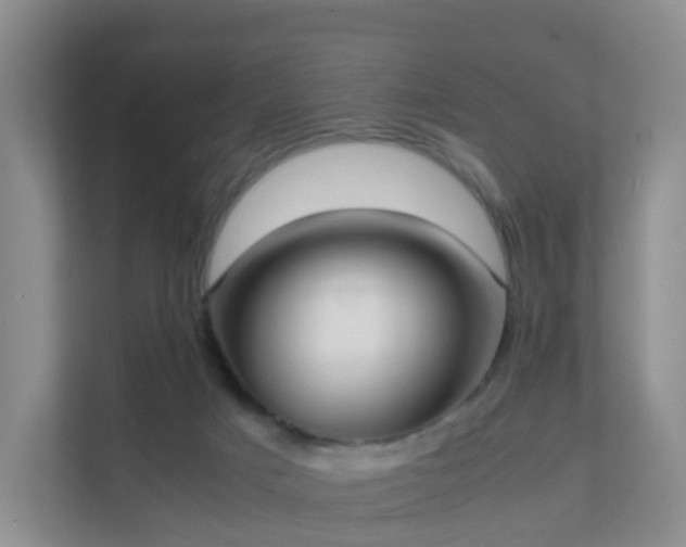 X0000111630025200907241059