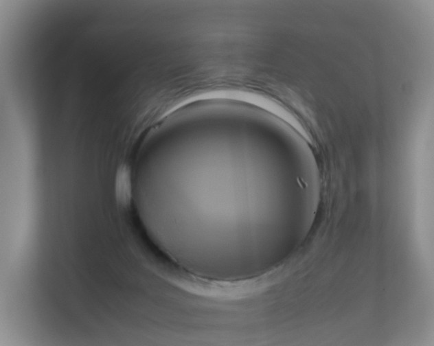 X0000111630027200907241059