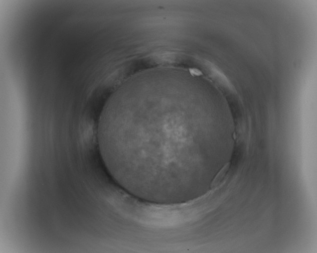 X0000111630029200907241059