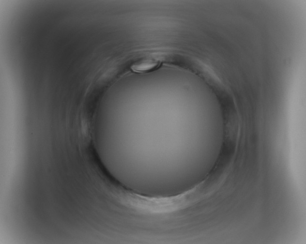 X0000111630031200907241059