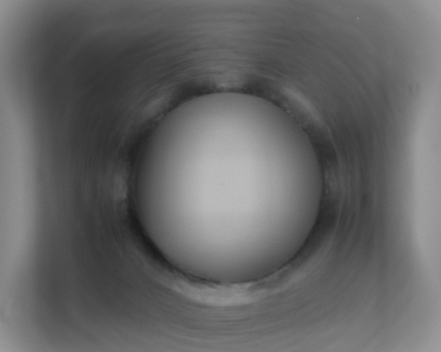 X0000111630032200907241059