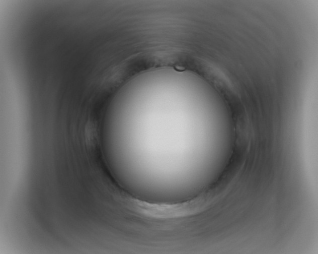 X0000111630034200907241059