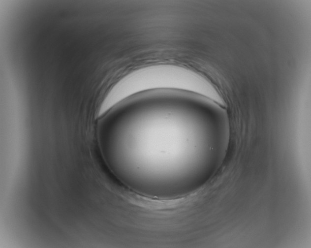 X0000111630035200907241059