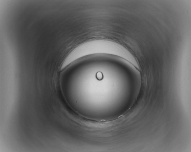 X0000111630036200907241059