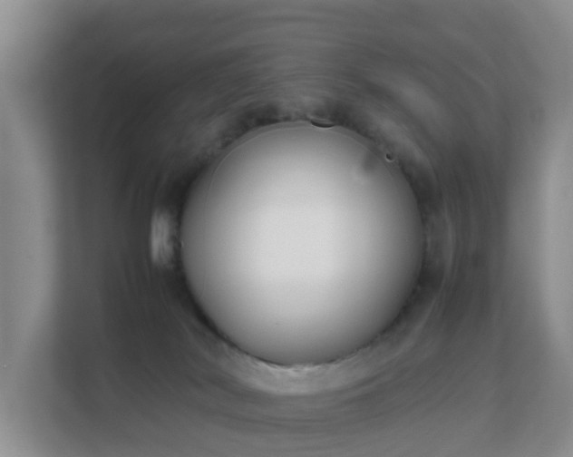 X0000111630038200907241059