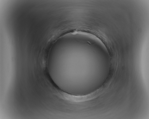 X0000111630039200907241059