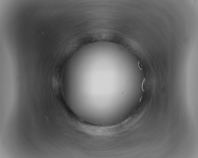 X0000111630040200907241059