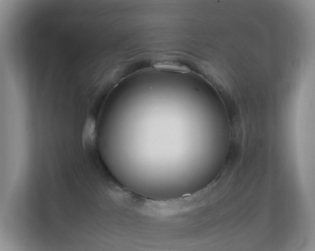 X0000111630041200907241059