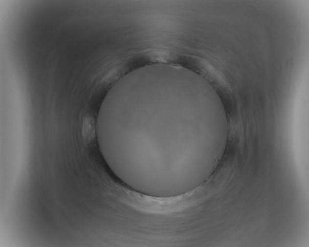 X0000111630043200907241059