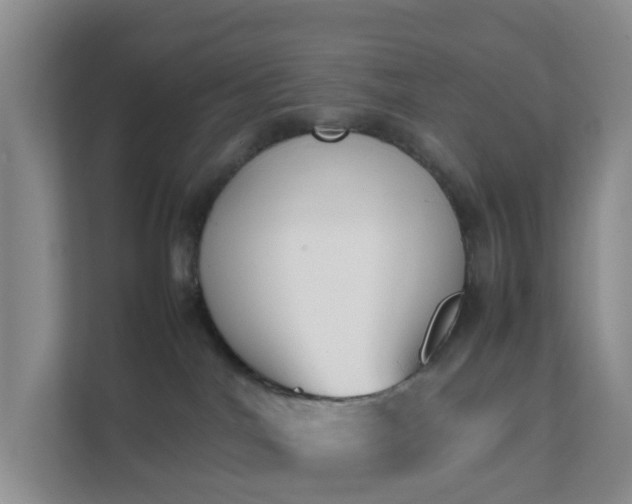 X0000111630044200907241059