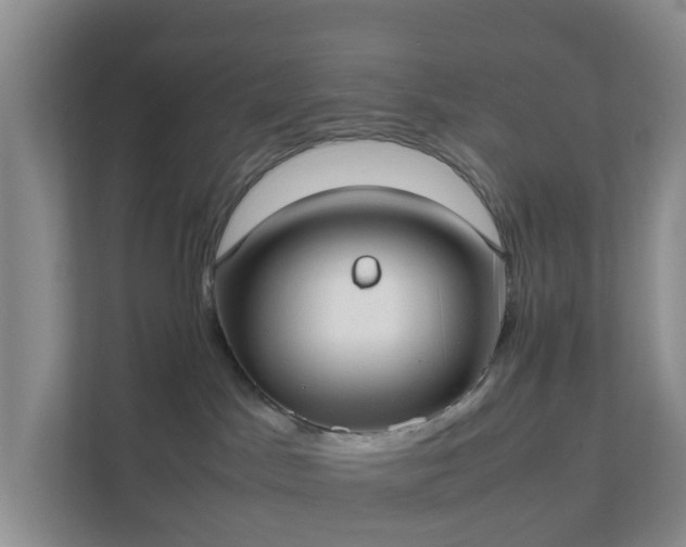 X0000111630045200907241059