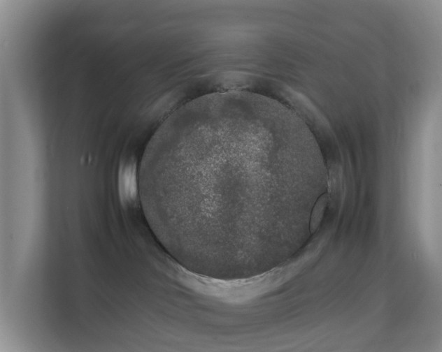 X0000111630046200907241059