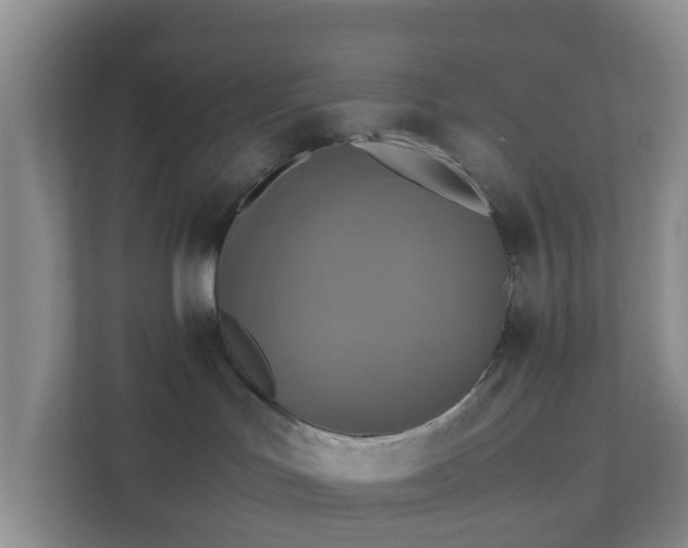 X0000111630047200907241059