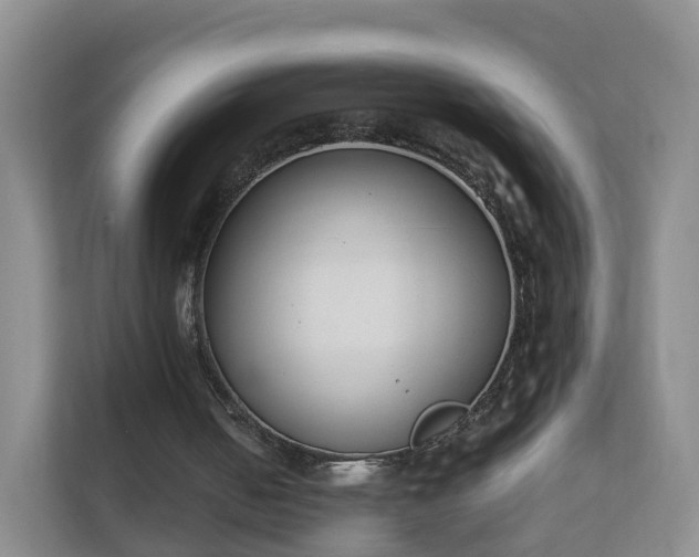 X0000111630050200907241058