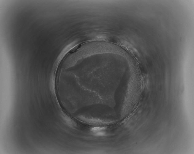 X0000111630051200907241058