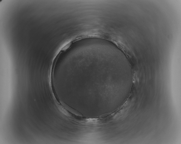 X0000111630052200907241058