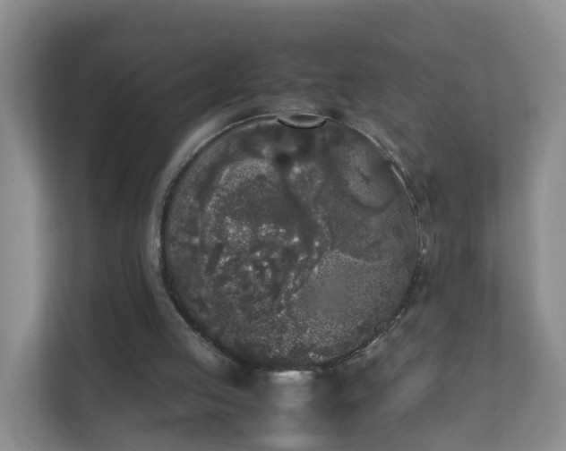 X0000111630053200907241058