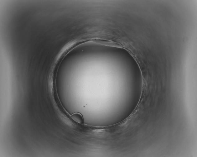 X0000111630054200907241058