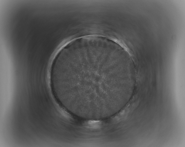 X0000111630055200907241058