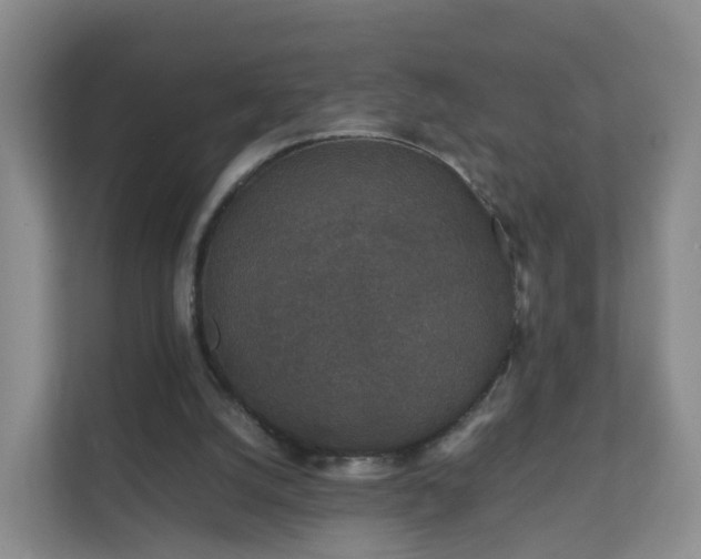 X0000111630056200907241058