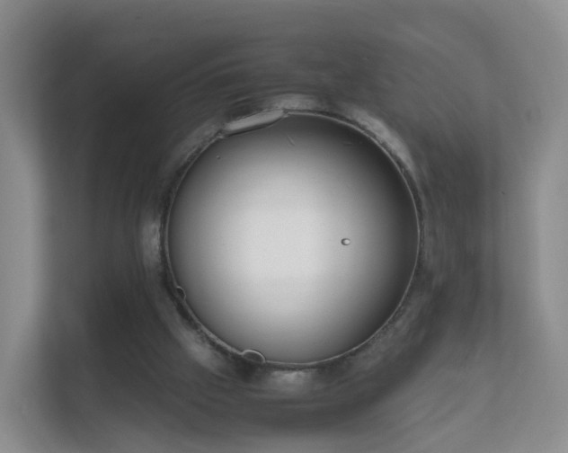 X0000111630057200907241058