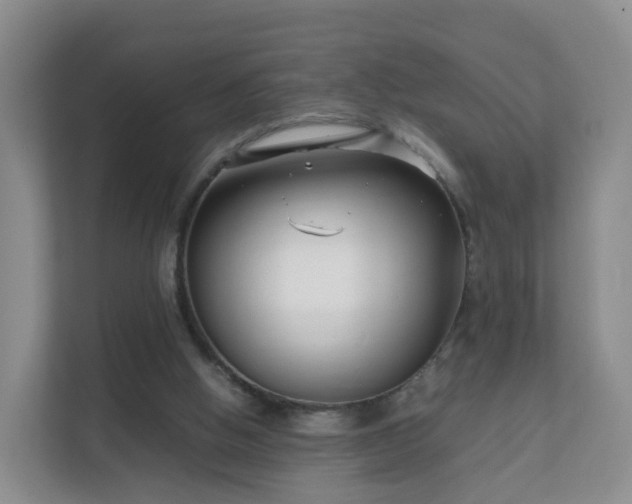 X0000111630058200907241059