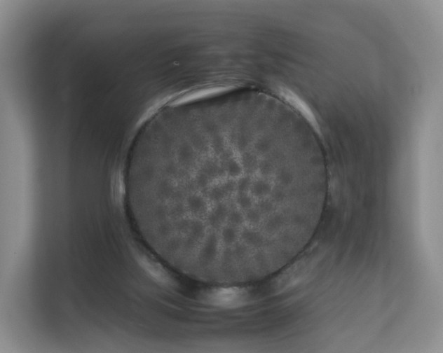 X0000111630059200907241059