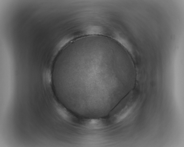 X0000111630060200907241059