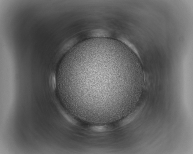 X0000111630061200907241059