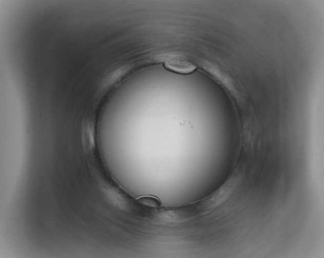 X0000111630062200907241059