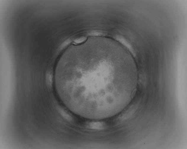 X0000111630063200907241059