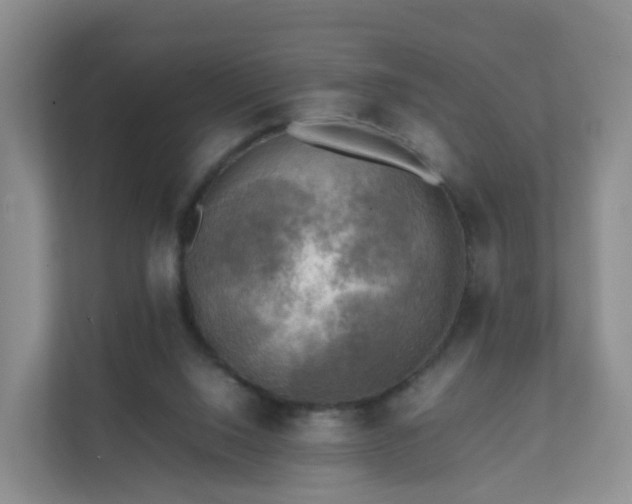 X0000111630064200907241059