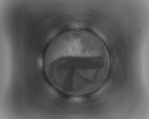 X0000111630067200907241059