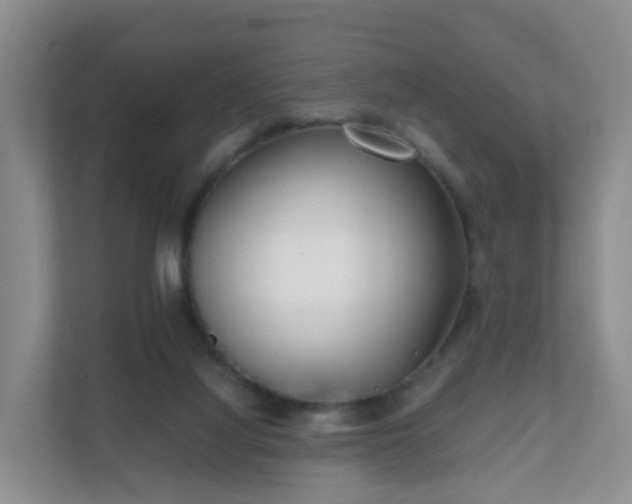 X0000111630068200907241059