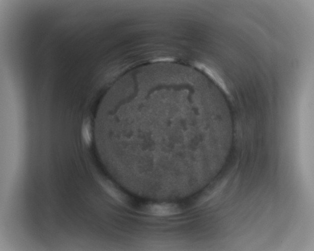 X0000111630069200907241059